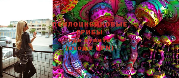 СК Вязники