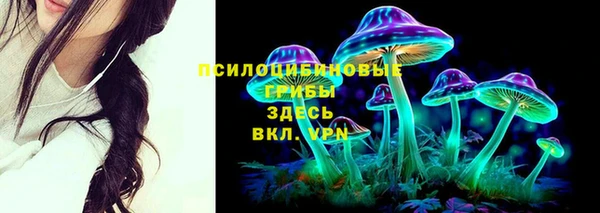 СК Вязники