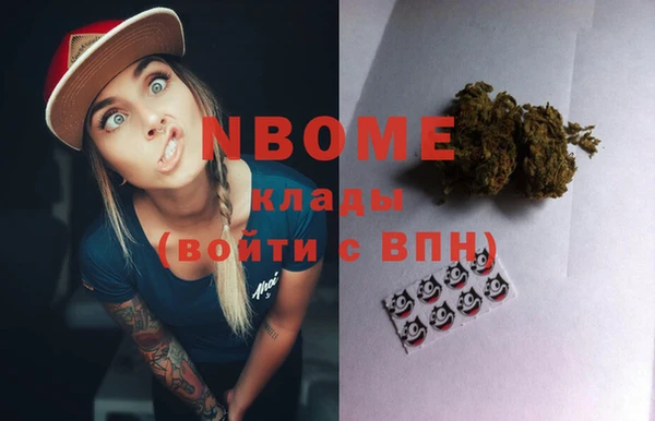 прущие грибы Вяземский