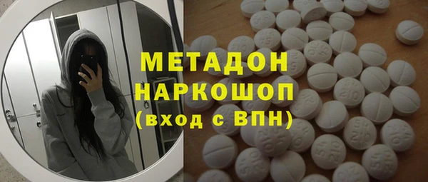 прущие грибы Вяземский