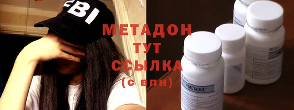 прущие грибы Вяземский