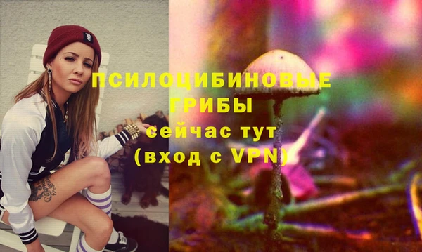прущие грибы Вяземский