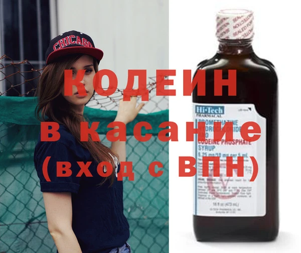 прущие грибы Вяземский