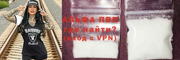 прущие грибы Вяземский
