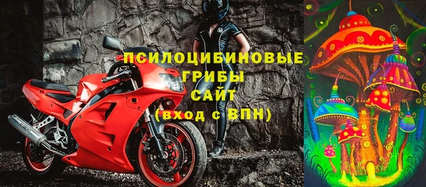 СК Вязники