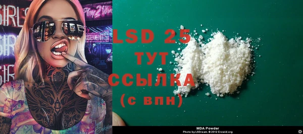 прущие грибы Вяземский
