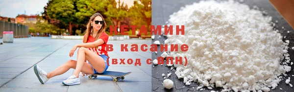 прущие грибы Вяземский