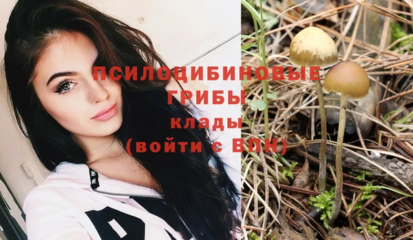 тгк Вязьма