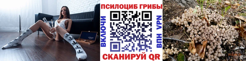 наркота  Дальнереченск  OMG сайт  Галлюциногенные грибы Magic Shrooms 