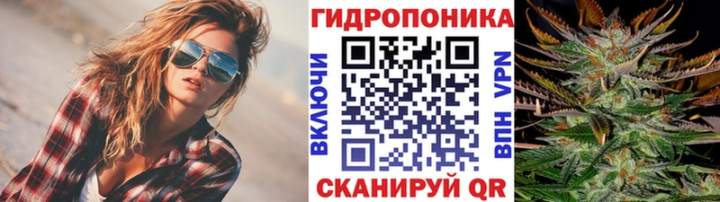 Бошки Шишки OG Kush  omg ссылки  Дальнереченск 